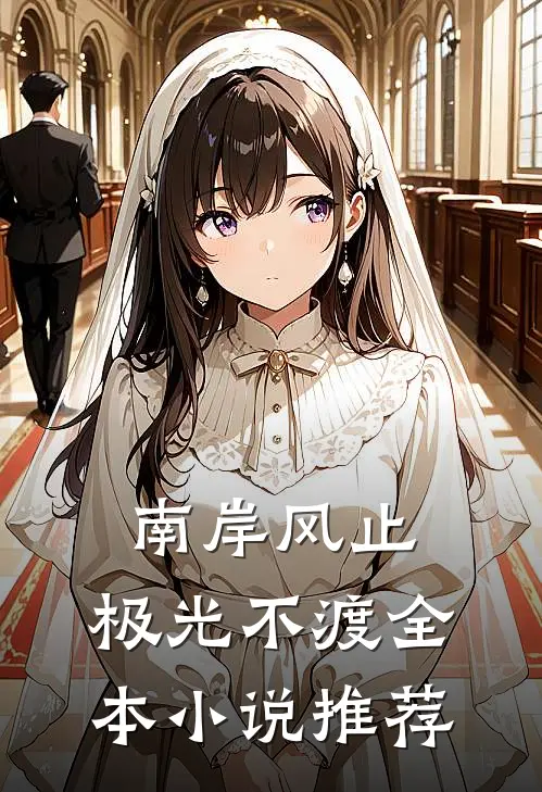 南岸风止，极光不渡全本小说推荐