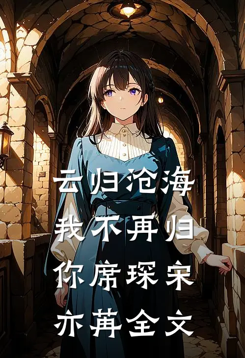云归沧海，我不再归你席琛宋亦苒全文