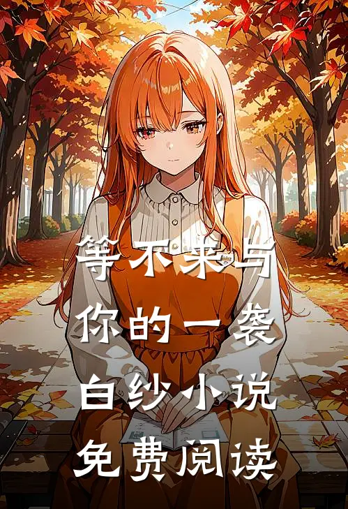 等不来与你的一袭白纱免费阅读