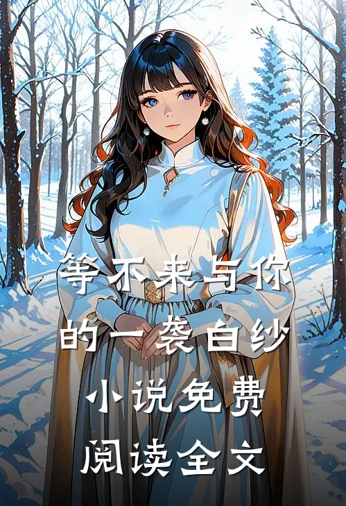 等不来与你的一袭白纱免费阅读全文无弹窗