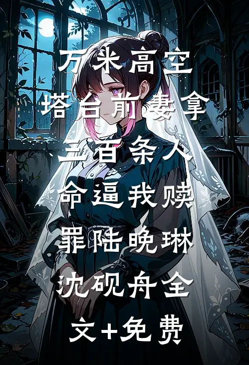 万米高空，塔台前妻拿三百条人命逼我赎罪陆晚琳沈砚舟全文+免费
