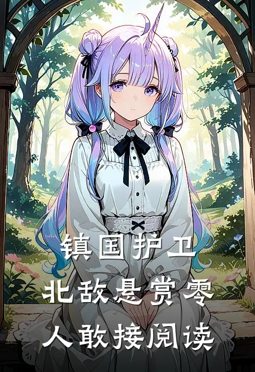 镇国护卫，北敌悬赏零人敢接阅读