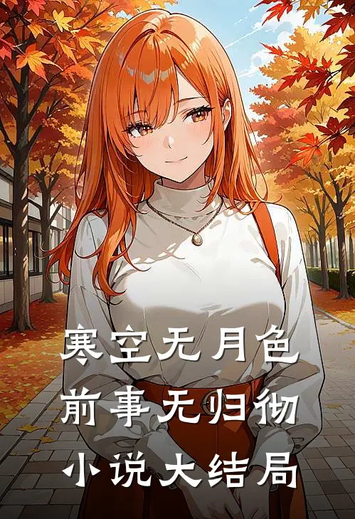 寒空无月色，前事无归彻小说大结局