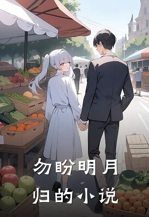 勿盼明月归的小说