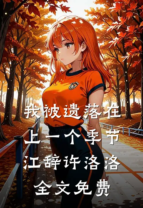 我被遗落在上一个季节江辞许洛洛全文免费