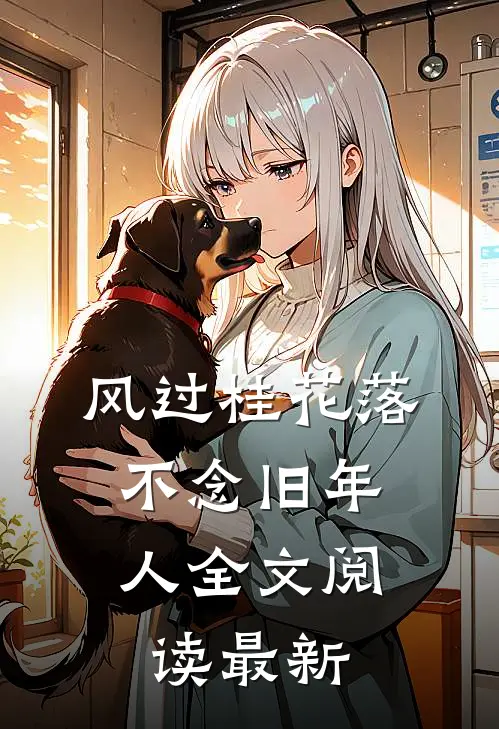 风过桂花落，不念旧年人全文阅读最新