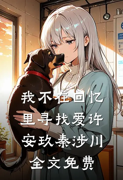 我不在回忆里寻找爱许安玖秦涉川全文免费
