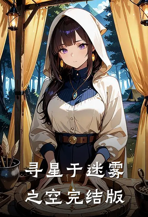 寻星于迷雾之空完结版