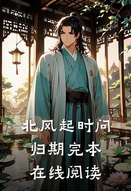 北风起时问归期完本在线阅读