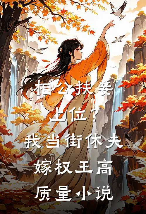 相公扶妾上位？我当街休夫嫁权王高质量小说