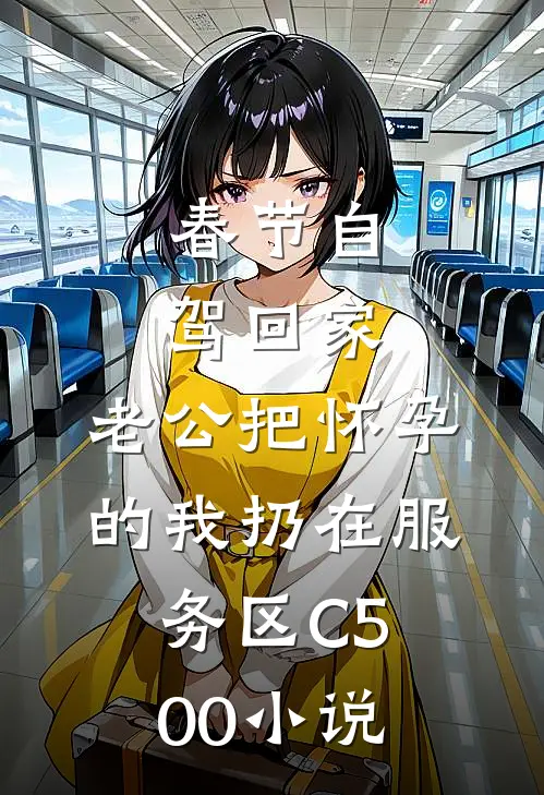 春节自驾回家，老公把怀孕的我扔在服务区C500小说