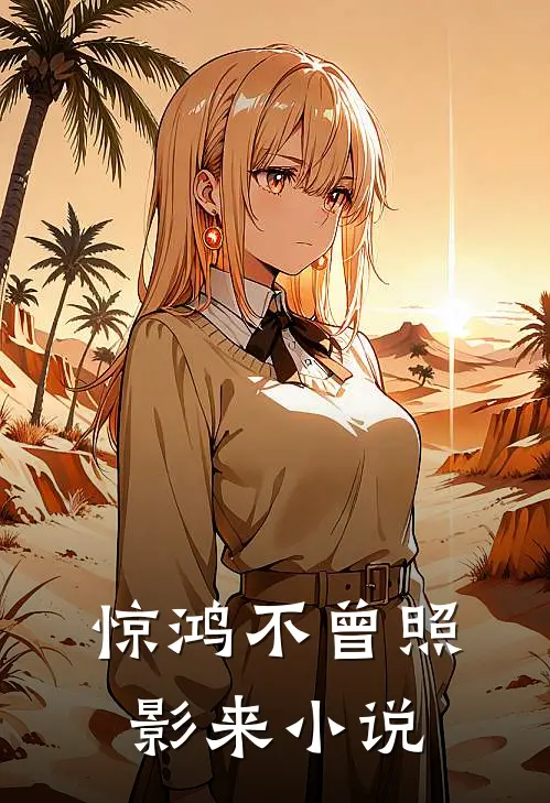 惊鸿不曾照影来小说
