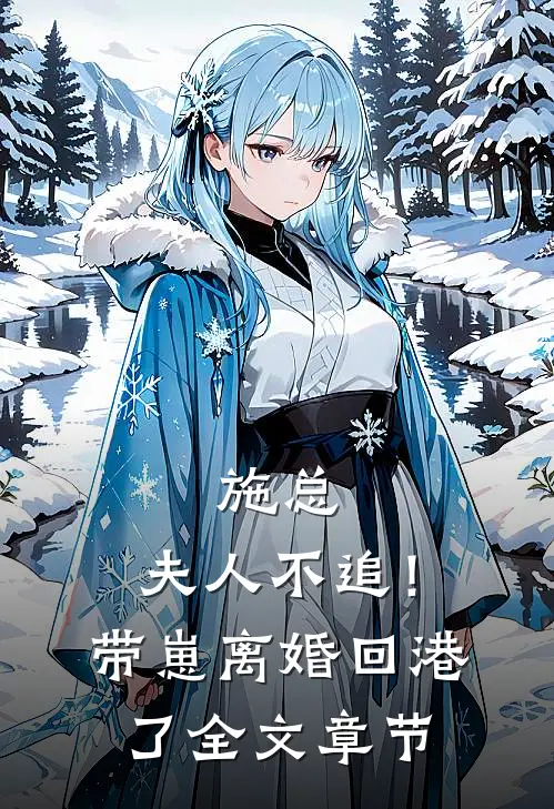 施总，夫人不追！带崽离婚回港了全文章节