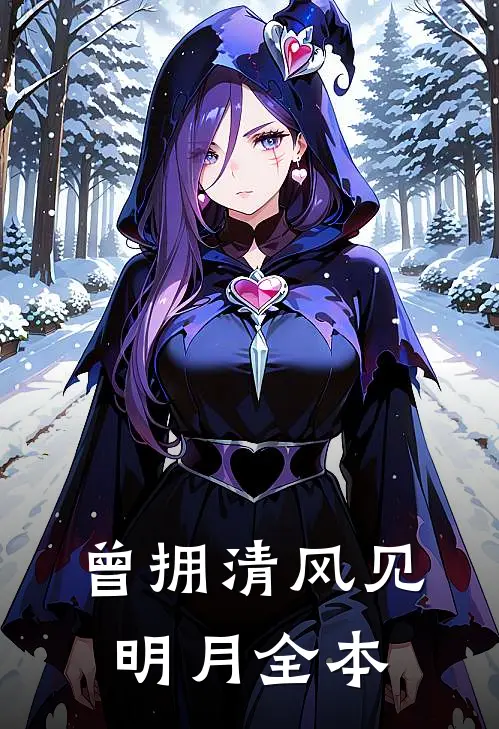 曾拥清风见明月全本