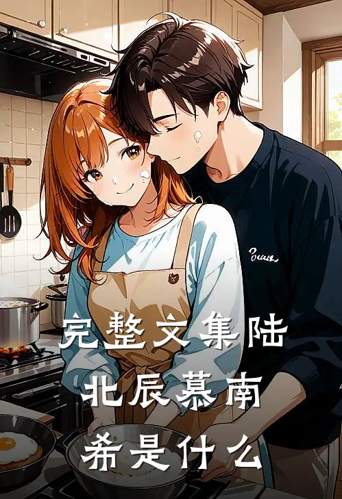 完整文集陆北辰慕南希是什么