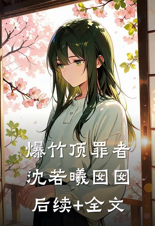 爆竹顶罪者沈若曦囡囡后续+全文