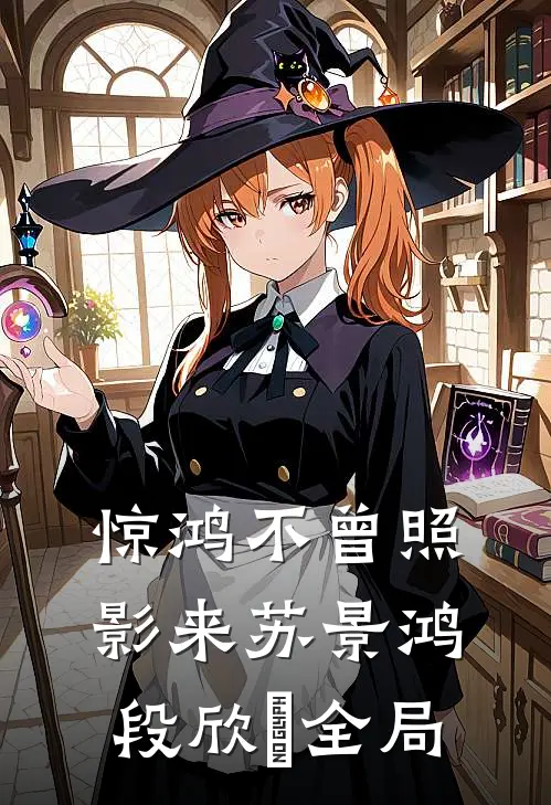 惊鸿不曾照影来苏景鸿段欣玥全局