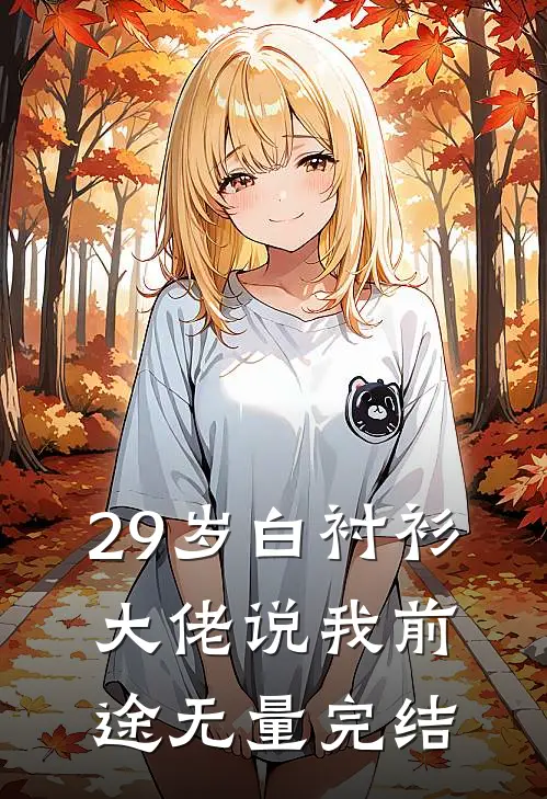 29岁白衬衫，大佬说我前途无量完结