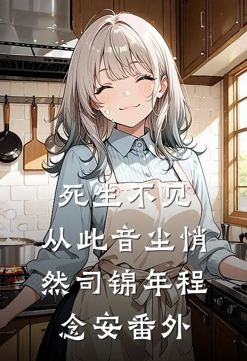 死生不见，从此音尘悄然司锦年程念安番外