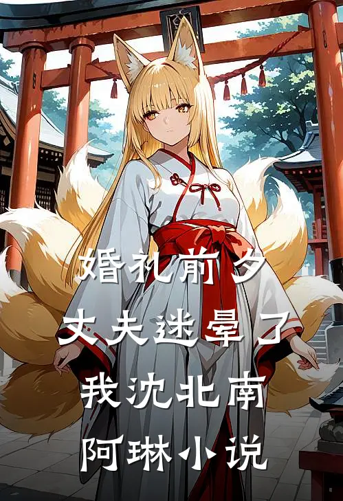 婚礼前夕，丈夫迷晕了我沈北南阿琳小说