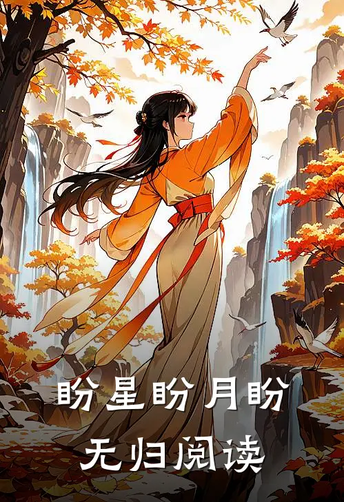 盼星盼月盼无归阅读