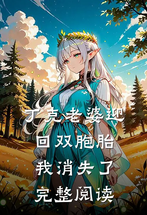 丁克老婆迎回双胞胎，我消失了完整阅读