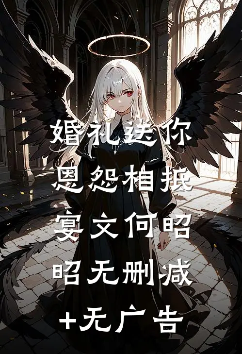 婚礼送你，恩怨相抵宴文何昭昭无删减+无广告