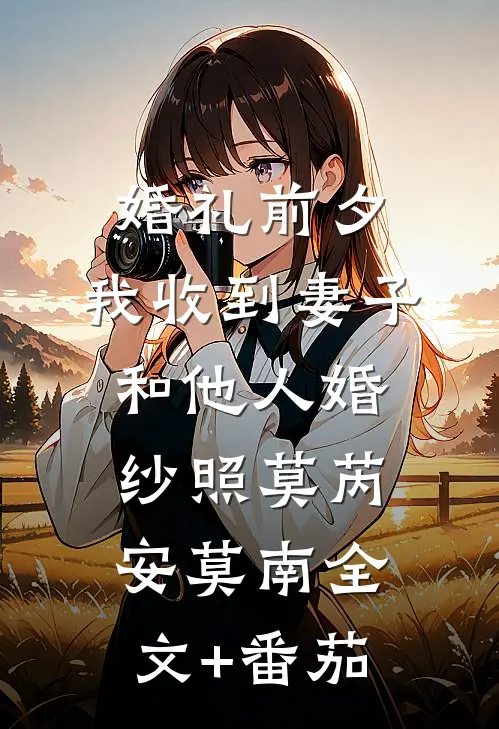 婚礼前夕，我收到妻子和他人婚纱照莫芮安莫南全文+番茄
