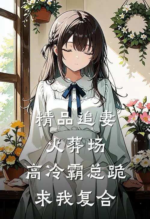 精品追妻火葬场：高冷霸总跪求我复合