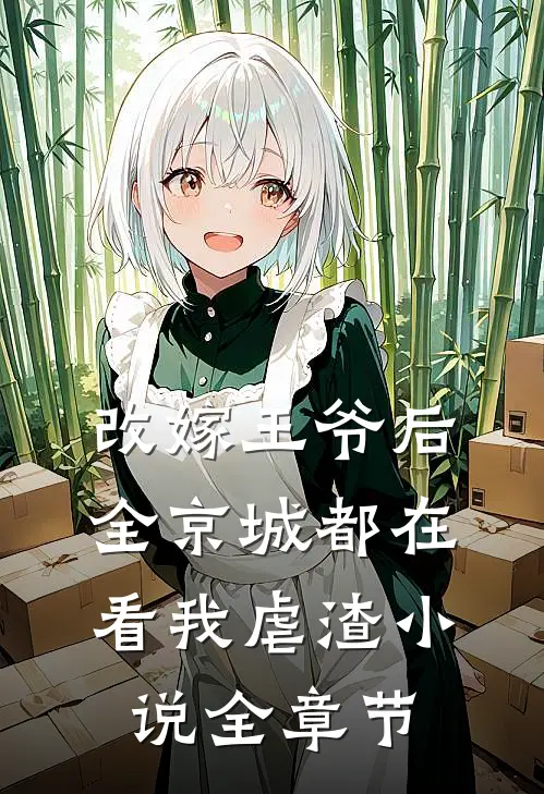 改嫁王爷后,全京城都在看我虐渣小说全章节