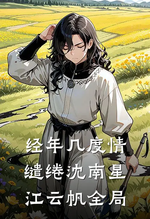 经年几度情缱绻沈南星江云帆全局