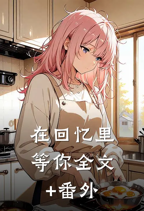 在回忆里等你全文+番外