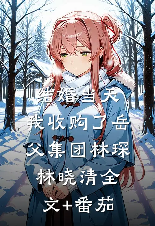 结婚当天，我收购了岳父集团林琛林晓清全文+番茄