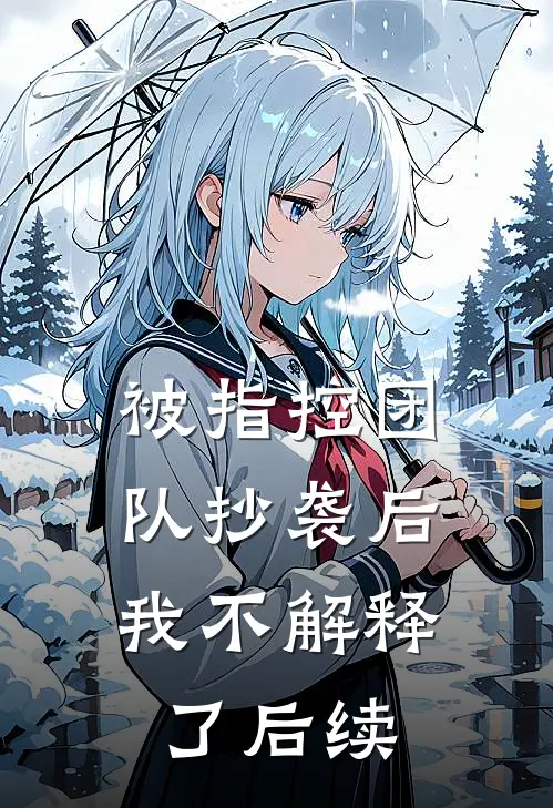 被指控团队抄袭后，我不解释了后续