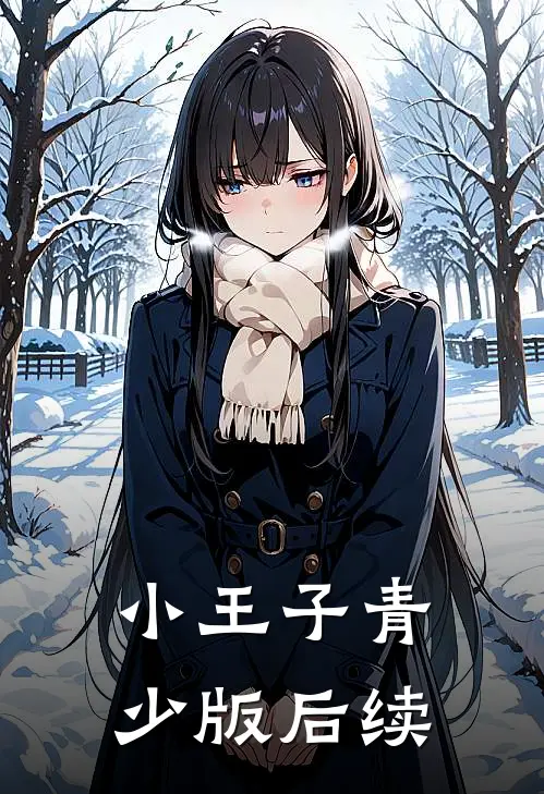 小王子（青少版）后续