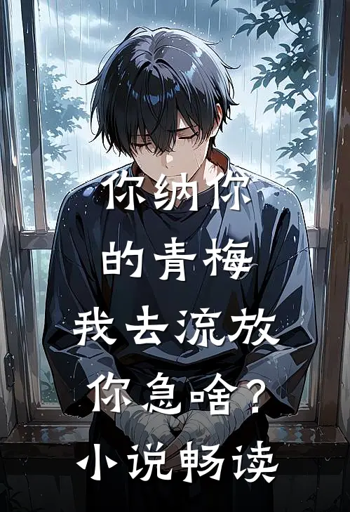 你纳你的青梅，我去流放你急啥？小说畅读