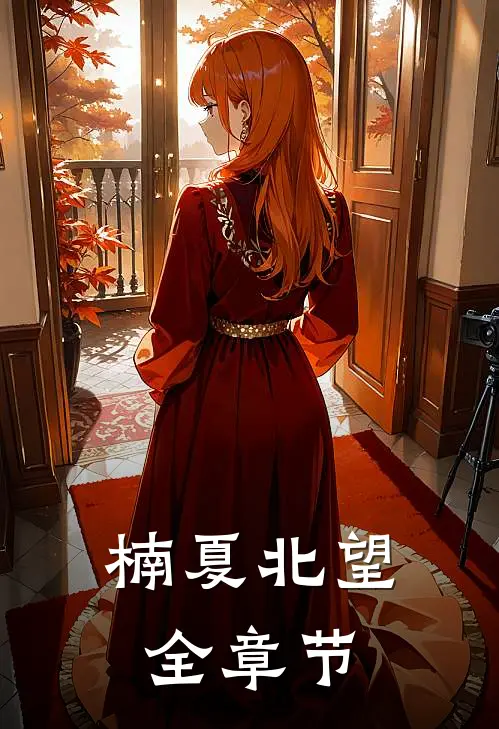 楠夏北望全章节
