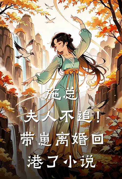 施总，夫人不追！带崽离婚回港了小说