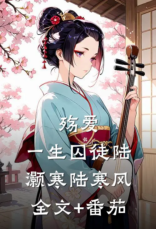 《殇爱：一生囚徒》陆灏寒陆寒风全文+番茄
