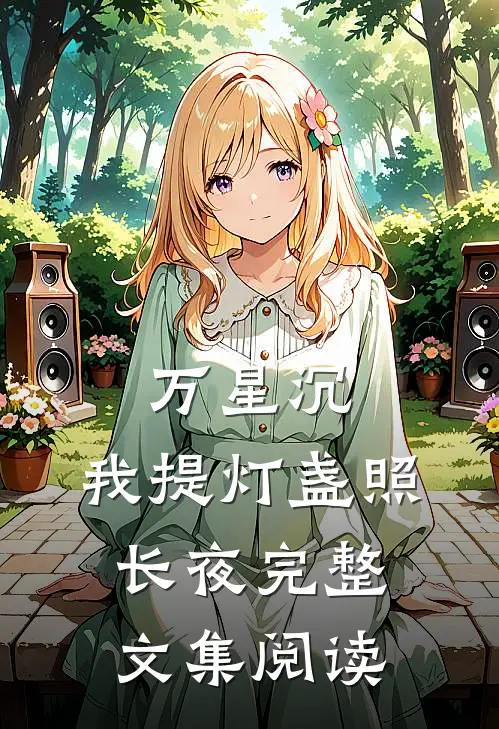 万星沉，我提灯盏照长夜完整文集阅读