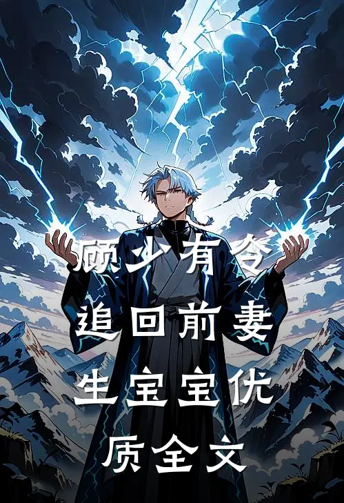 顾少有令：追回前妻生宝宝优质全文