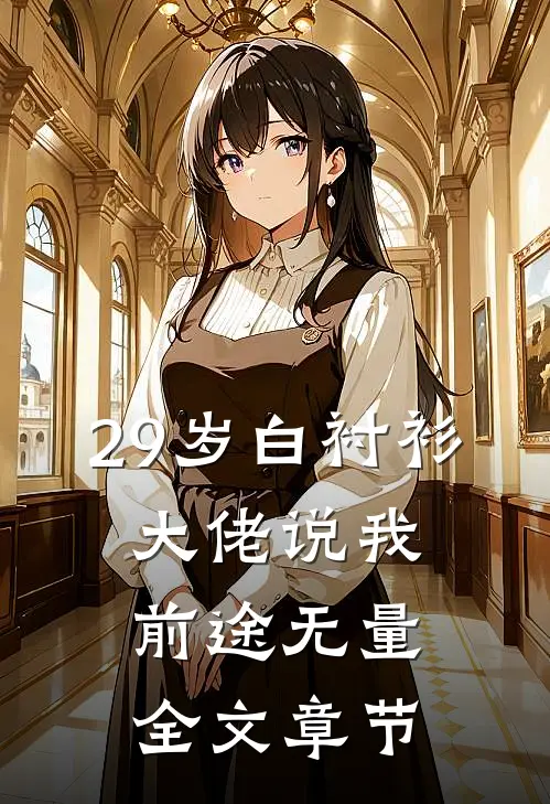 29岁白衬衫，大佬说我前途无量全文章节