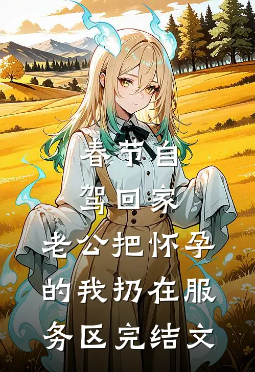春节自驾回家，老公把怀孕的我扔在服务区完结文