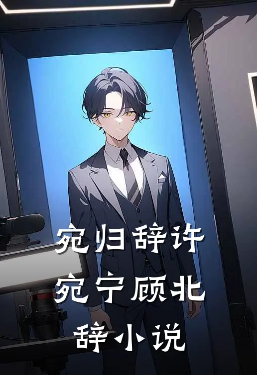 宛归辞许宛宁顾北辞小说