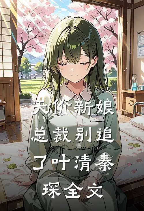 天价新娘，总裁别追了叶清秦琛全文