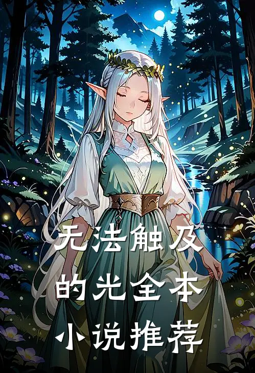 无法触及的光全本小说推荐