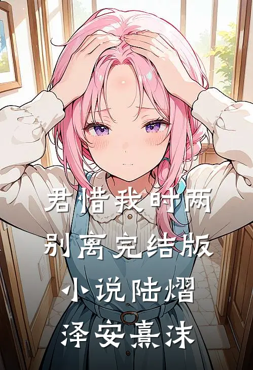 君惜我时两别离完结版小说陆熠泽安熹沫