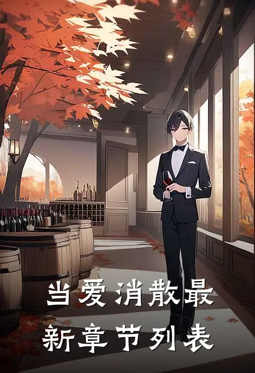 当爱消散最新章节列表