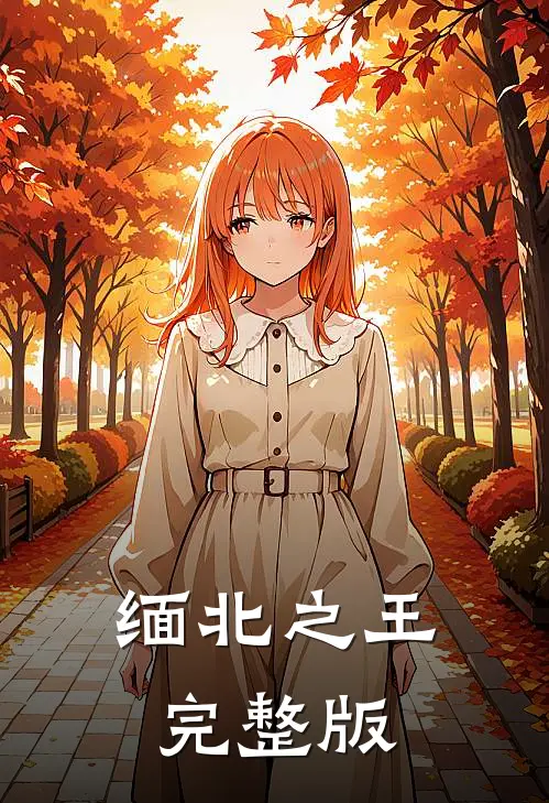 缅北之王完整版