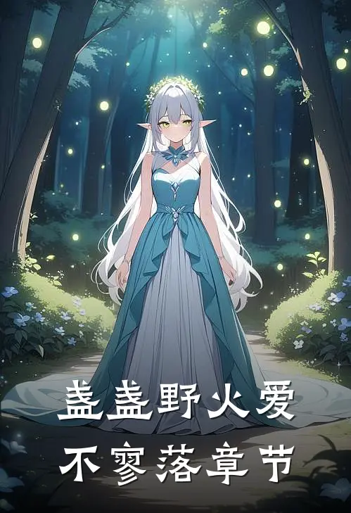 盏盏野火爱不寥落章节